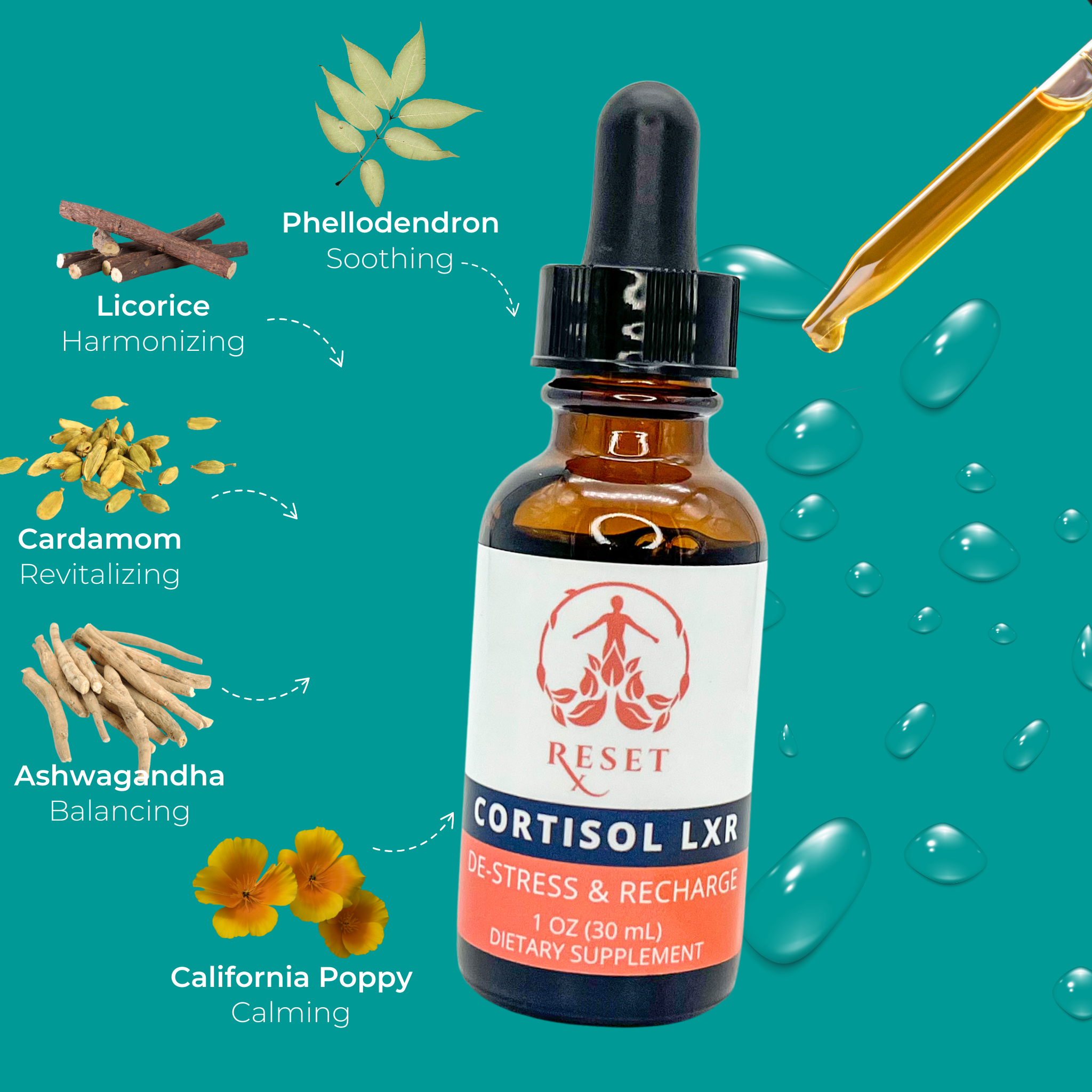 Cortisol LXR