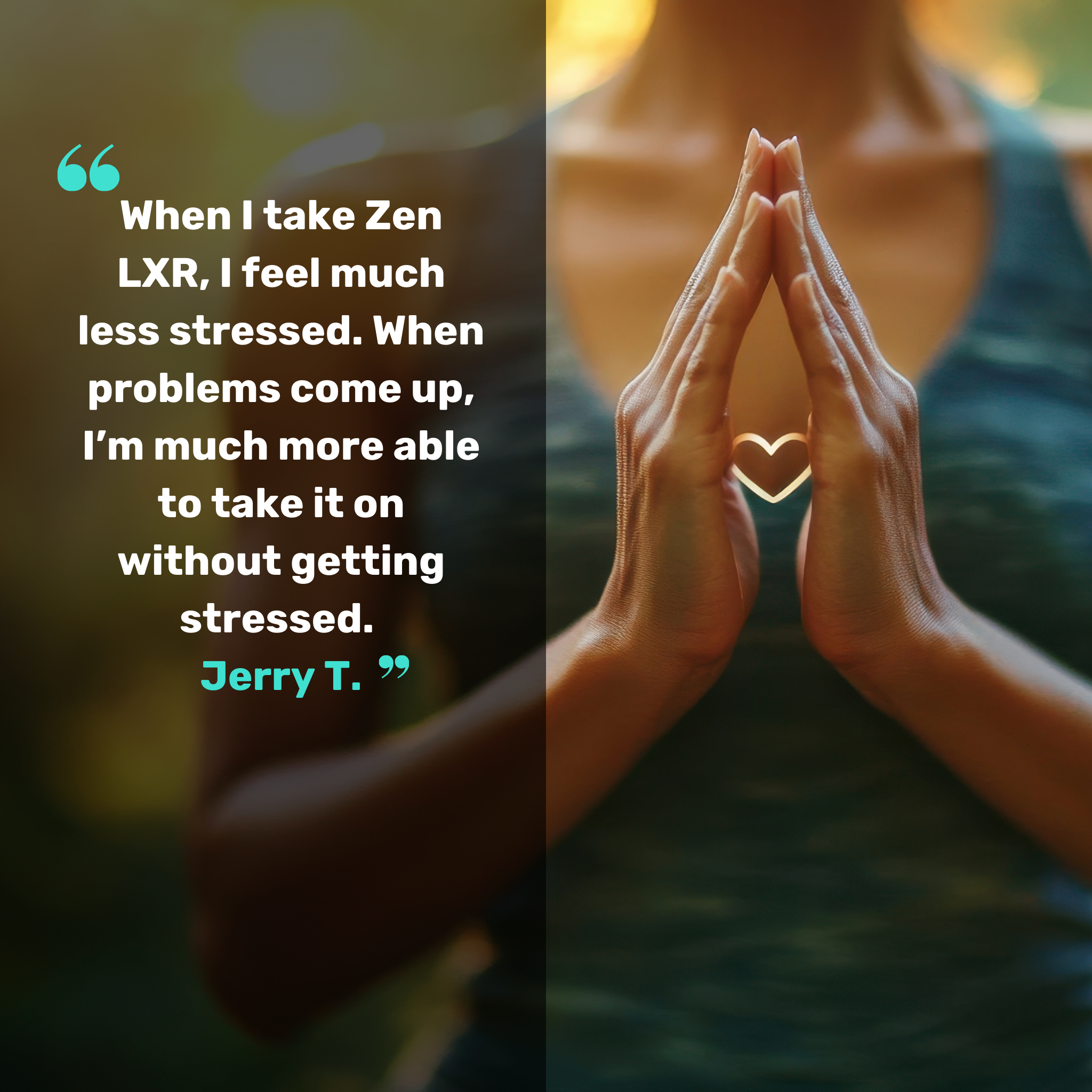 Zen LXR